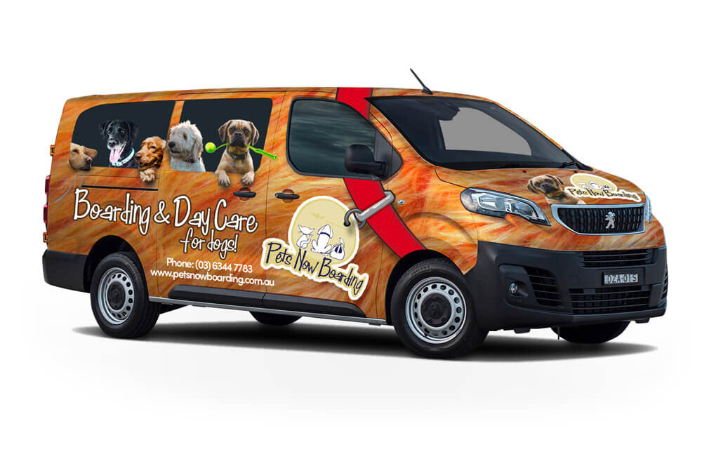 Dog Daycare Launceston Pets Now Boarding
